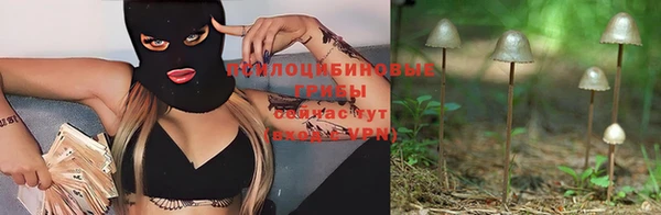 дурь Арсеньев