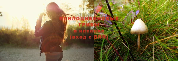 бошки Лихославль