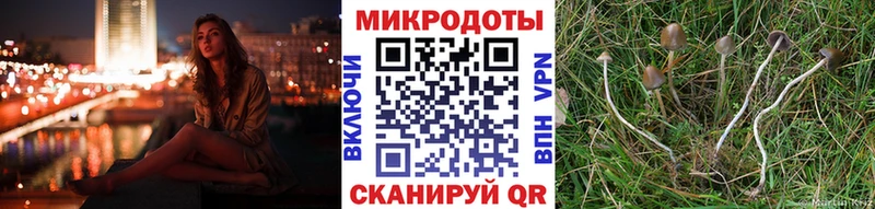 kraken онион  Собинка  Галлюциногенные грибы ЛСД 